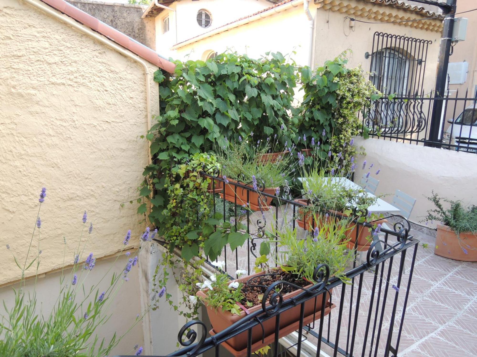 Acci Cannes Old City Pokój zdjęcie